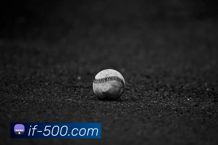 500彩票网官方平台生态图